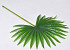 Künstliche Palm Blatt Grün 50cm