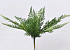 Fern Bush 15 Bladeren 46cm