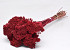 Bouquet Achillea Parker Rouge 60cm