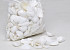 Bag of shells Mix White 1kg