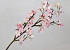 Apple Blossom 104cm Pink