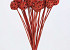Brunch Ball on 50cm stem red