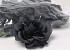 Rose D10cm Black