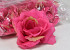 Rose D10cm Fuchsia