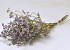 Limonium 40cm Lilac