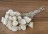 Helichrysum Cape Snow 