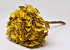 Hortensia Preparé Jaune D16cm