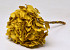 Hydrangea preserved Yellow D16cm