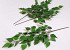 Berkentak blad 64cm