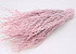 Birch pink-wash 60cm 50pcs