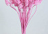Cane Cone on 50cm stem pink