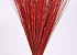 Bouquet Reed Cane Rouge 75cm