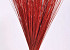Reed Cane Rood 75cm