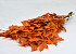 Feuille de Chêne Orange 60-70cm