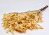 Eichenblatt Creme 50-60cm