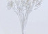 Cane Cone on 50cm stem white