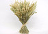 Dried Grass Bouquet 50cm