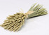 Dried Bouquet Wheat 45cm Flat