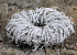 Couronne Grapevine 30cm blanc
