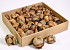 Palm Tender 6-8cm 35-pack