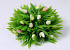 Wreath 18cm Mini Tulip