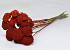 Bouquet Achillea Parker Rouge 70cm