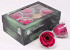 Rose Heads 6cm fuchsia pink