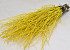 Bouleau Jaune 50pcs