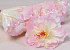 Hibiscus D14cm Rosa