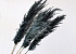 Pampas gras 110cm Dark Mix