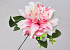 Dahlia D14cm Roze