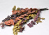 Eucalyptus Stuartiana Mix 65cm
