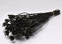 Nigella Orientalis 55cm Black