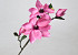 Magnolien Zweig Rosa 75cm