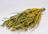 Strauß Mimosen 45cm