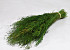 Herbe de Munni Vert 60cm
