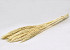 Nanal grass 75cm Bleached