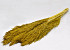 Nanal grass 75cm Ochre