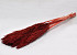 Nanal grass 75cm Red