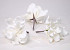 Foam flower 18cm white