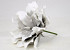 Echeveria en mousse 22cm blanc/gris