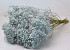 Gypsophila Blau 70cm (25 Zweige)