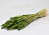 Bouquet Triticum Vert (blé) 70cm