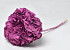 Hortensia gepreserveerd Mauve D16cm