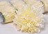 Chrysant D16cm Crème