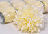 Chrysanthemum D16cm Cream