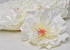 Hibiscus D14cm Creme