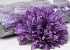 Chrysantheme Lavendel D16cm