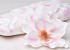 Magnolia D17cm White/Pink