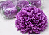 Chrysanthemum Purple D19cm